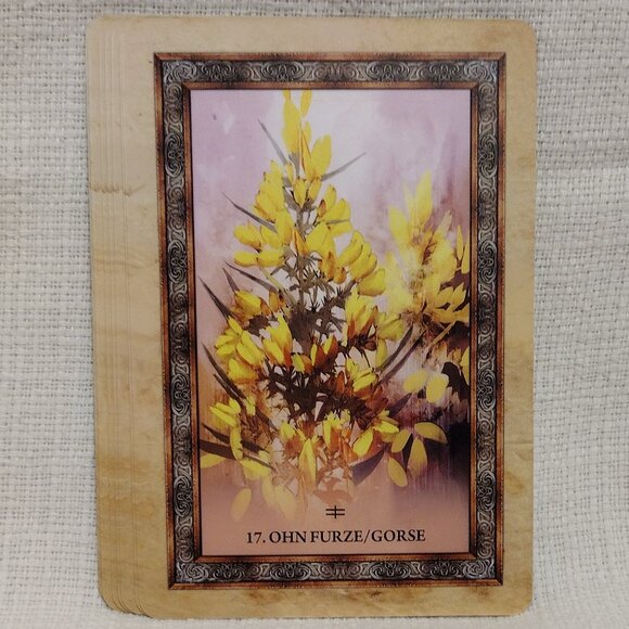 Celtic Tree Oracle - Picture 9 of 12